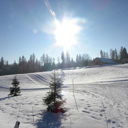 Etoile Des Neiges Piscine Spa Sauna Metabief Luaran gambar